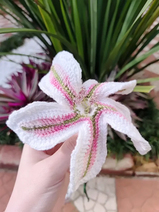 Lírio rosado de 5 pétalas - Imagem 3
