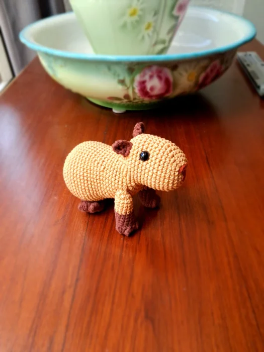 Capi, a capivara sentada - Imagem 2