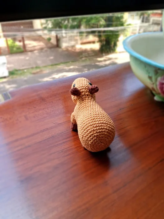 Capi, a capivara sentada - Imagem 4
