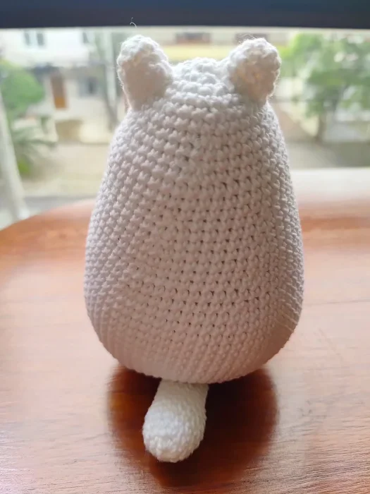Gatinho gordo com coração - Imagem 4