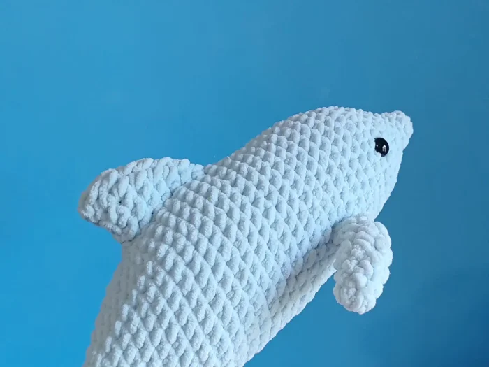 Coralito, o Golfinho - Imagem 5