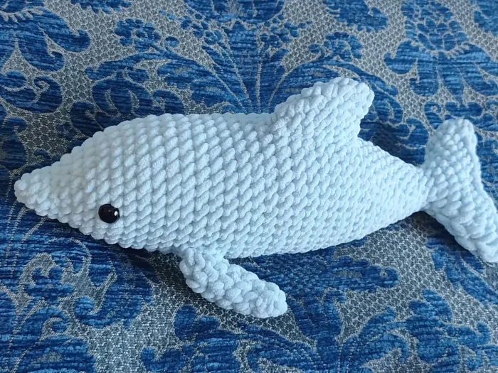 Coralito, o Golfinho - Imagem 6