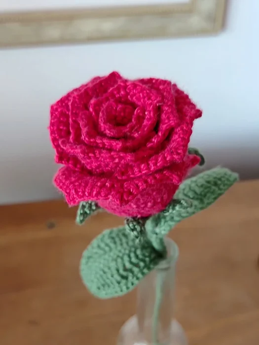 Rosa vermelha com folhas - Imagem 5
