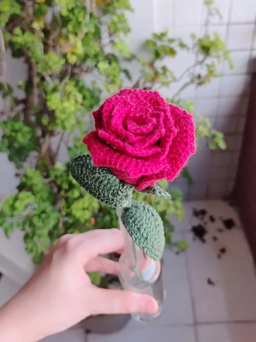 Rosa vermelha com folhas - Imagem 3